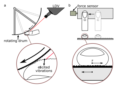 High Bandwidth Tribometry Research